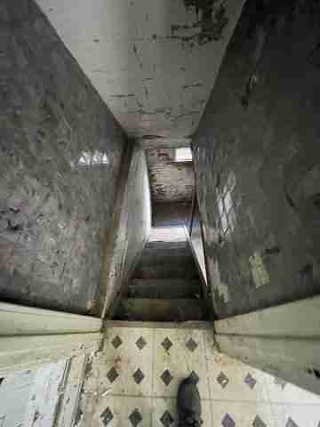 17257 bloom (44).jpg